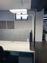 BIOWN - biodynamische staande lamp